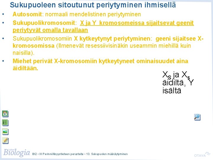 Sukupuoleen sitoutunut periytyminen ihmisellä • • Autosomit: normaali mendelistinen periytyminen Sukupuolikromosomit: X ja Y Sukupuoleen sitoutunut periytyminen ihmisellä • • Autosomit: normaali mendelistinen periytyminen Sukupuolikromosomit: X ja Y