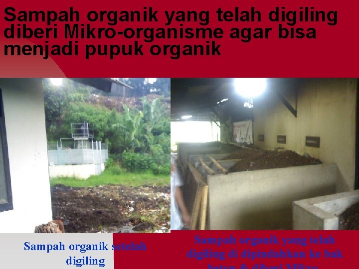 Sampah organik yang telah digiling diberi Mikro-organisme agar bisa menjadi pupuk organik Sampah organik