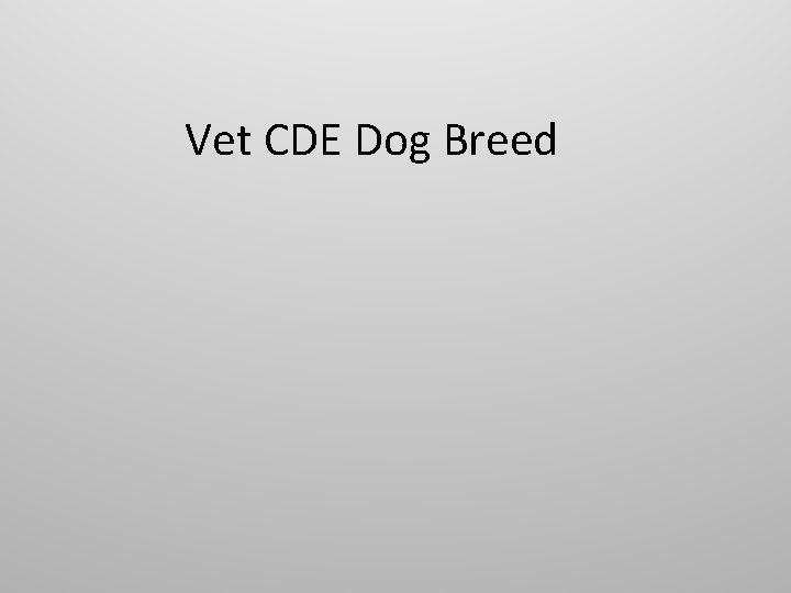 Vet CDE Dog Breed 