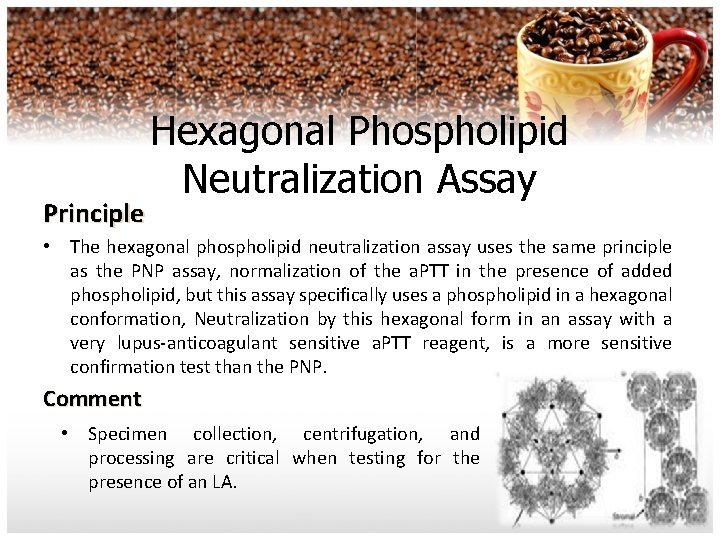 Principle Hexagonal Phospholipid Neutralization Assay • The hexagonal phospholipid neutralization assay uses the same