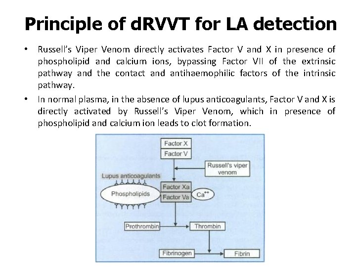 Principle of d. RVVT for LA detection • Russell’s Viper Venom directly activates Factor
