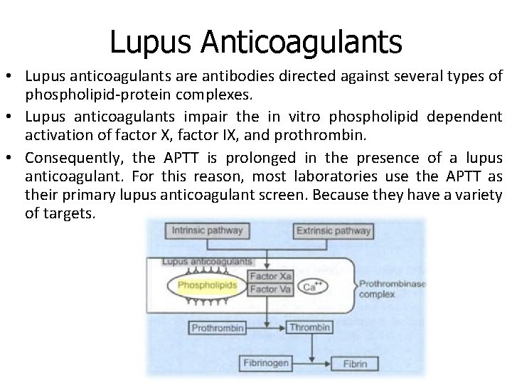 What Is Lupus Anticoagulant Renew Physical Therapy