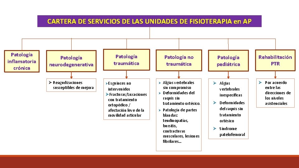 CARTERA DE SERVICIOS DE LAS UNIDADES DE FISIOTERAPIA en AP Patología Patolog inflamatoria crónica