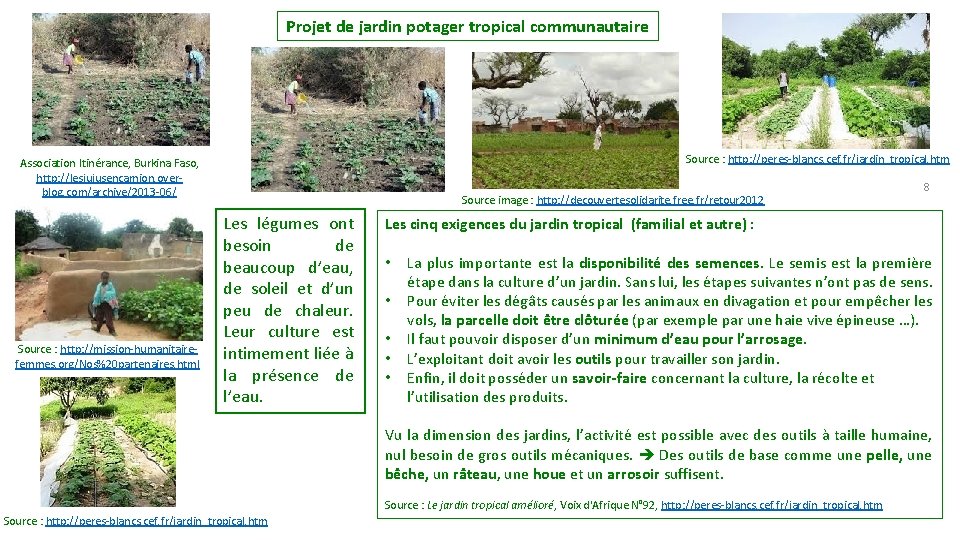 Projet de jardin potager tropical communautaire Source : http: //peres blancs. cef. fr/jardin_tropical. htm