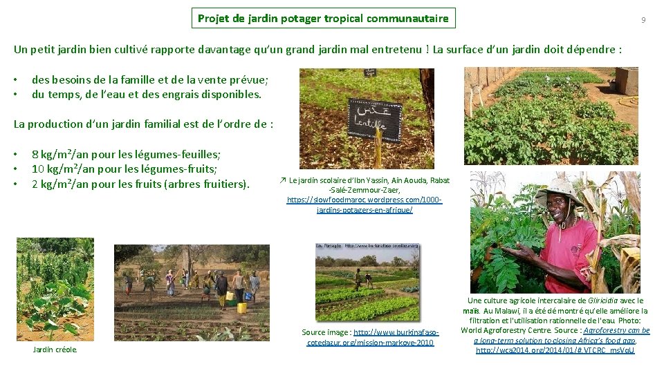 Projet de jardin potager tropical communautaire 9 Un petit jardin bien cultivé rapporte davantage