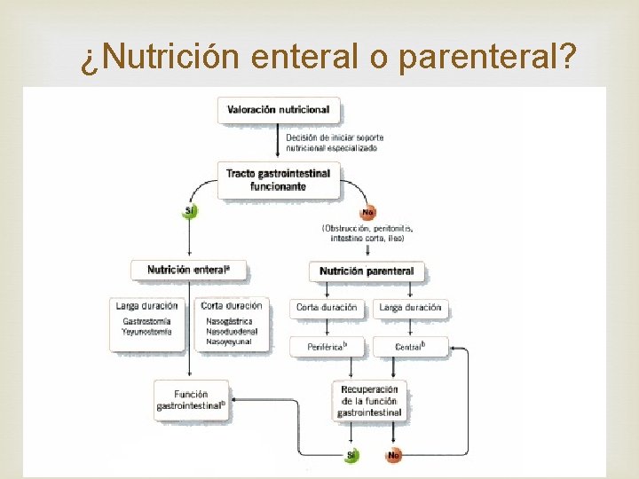 ¿Nutrición enteral o parenteral? 