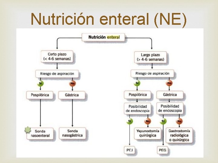 Nutrición enteral (NE) 