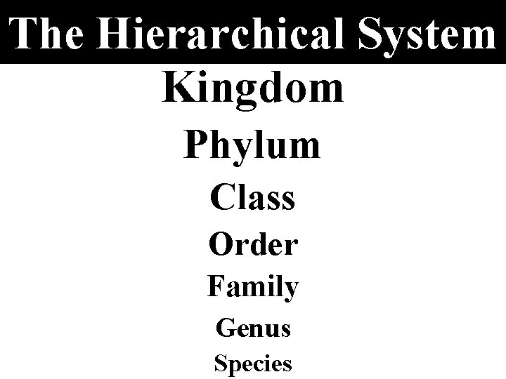 The Hierarchical System Kingdom Phylum Class Order Family Genus Species 