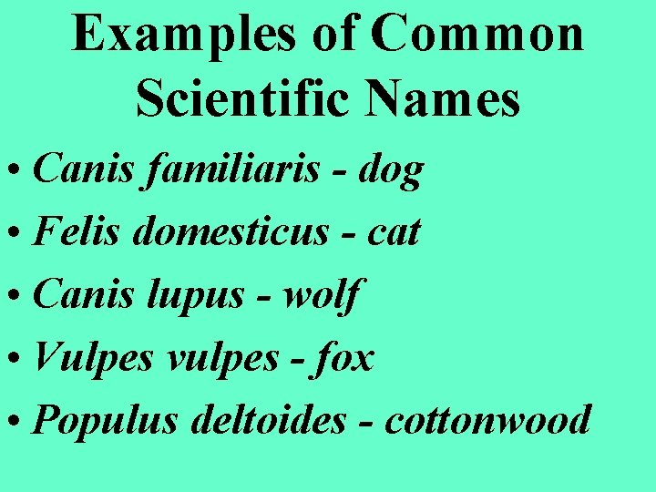 Examples of Common Scientific Names • Canis familiaris - dog • Felis domesticus -