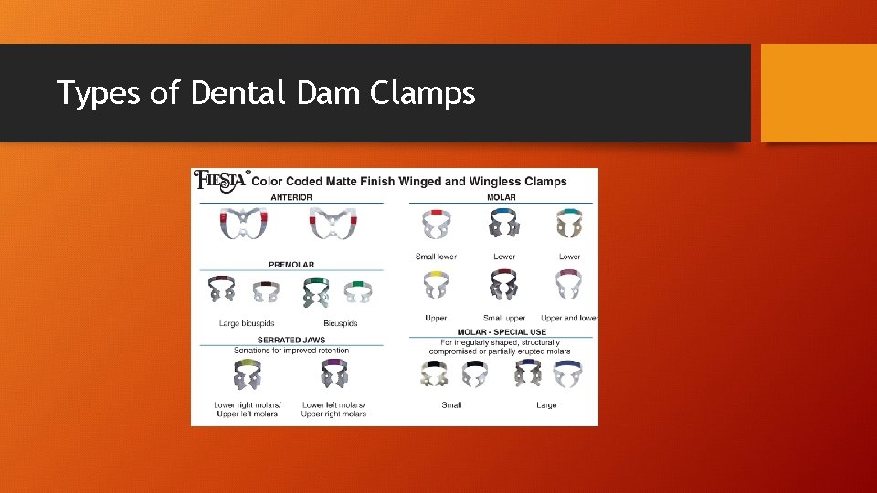Types of Dental Dam Clamps 