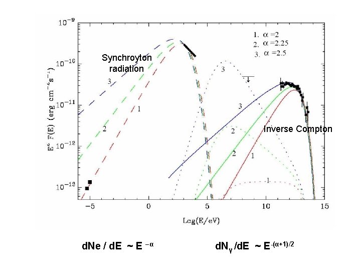 Synchroyton radiation Inverse Compton d. Ne / d. E ~ E –α d. Nγ