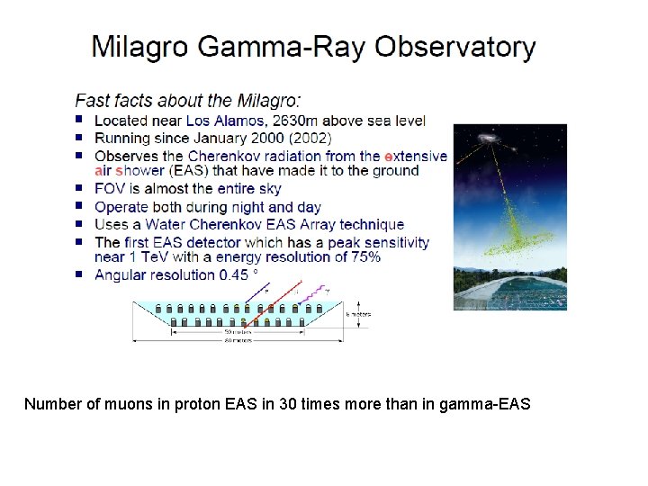 Number of muons in proton EAS in 30 times more than in gamma-EAS 