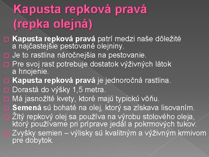 Kapusta repková pravá (repka olejná) � � � � � Kapusta repková pravá patrí