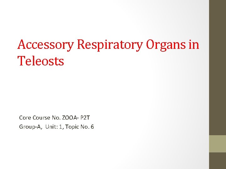 Accessory Respiratory Organs in Teleosts Core Course No. ZOOA P 2 T Group A,