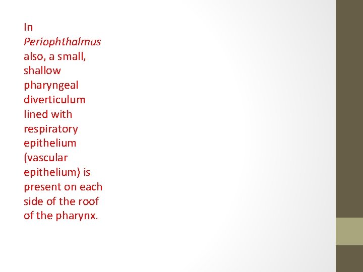 In Periophthalmus also, a small, shallow pharyngeal diverticulum lined with respiratory epithelium (vascular epithelium)