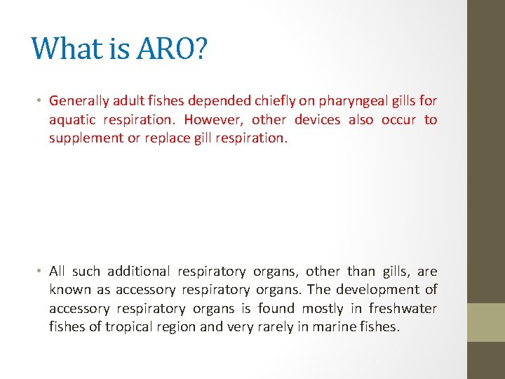 What is ARO? • Generally adult fishes depended chiefly on pharyngeal gills for aquatic