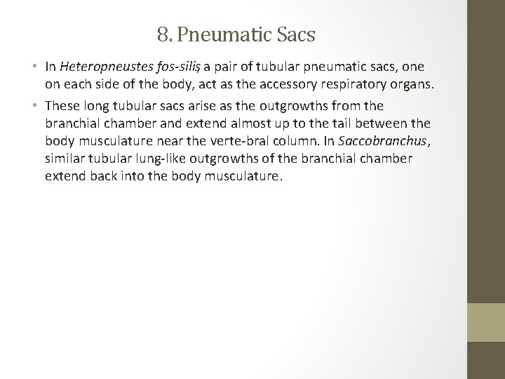 8. Pneumatic Sacs • In Heteropneustes fos silis, a pair of tubular pneumatic sacs,