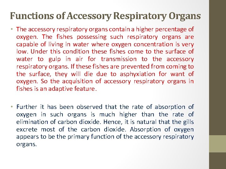 Functions of Accessory Respiratory Organs • The accessory respiratory organs contain a higher percentage