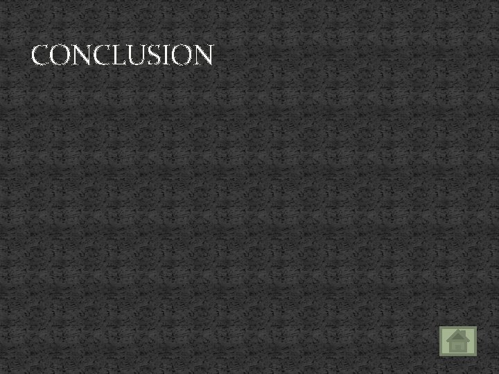 CONCLUSION 