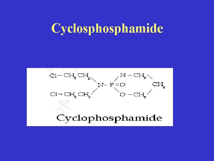 Cyclosphamide 