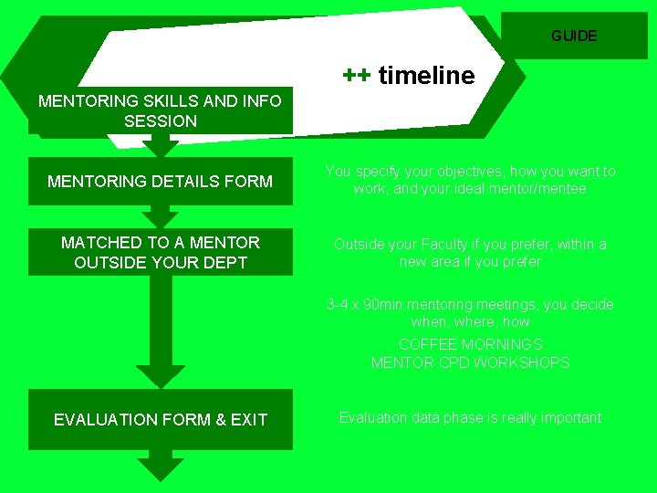 GUIDE ++ timeline MENTORING SKILLS AND INFO SESSION MENTORING DETAILS FORM You specify your