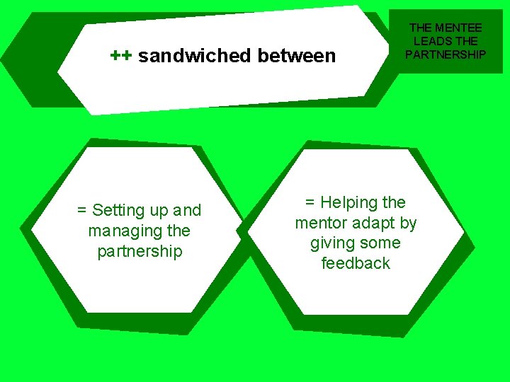 ++ sandwiched between = Setting up and managing the partnership THE MENTEE LEADS THE