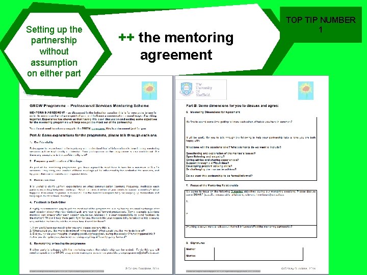 Setting up the partnership without assumption on either part ++ the mentoring agreement TOP