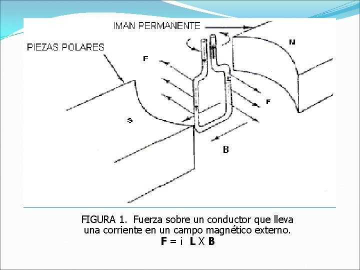 FIGURA 1. Fuerza sobre un conductor que lleva una corriente en un campo magnético