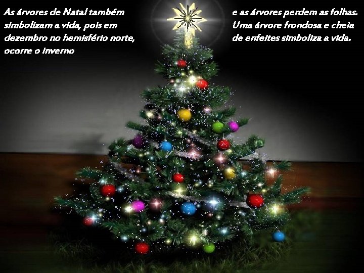 As árvores de Natal também simbolizam a vida, pois em dezembro no hemisfério norte,