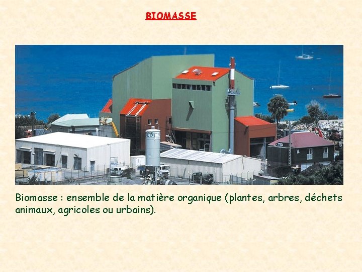 BIOMASSE Biomasse : ensemble de la matière organique (plantes, arbres, déchets animaux, agricoles ou BIOMASSE Biomasse : ensemble de la matière organique (plantes, arbres, déchets animaux, agricoles ou