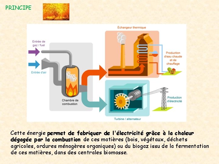 PRINCIPE Cette énergie permet de fabriquer de l'électricité grâce à la chaleur dégagée par PRINCIPE Cette énergie permet de fabriquer de l'électricité grâce à la chaleur dégagée par