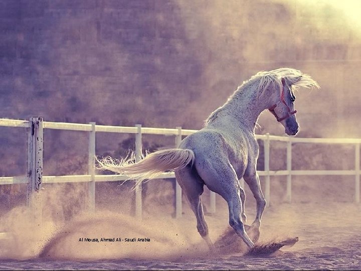 Al Mousa, Ahmad Ali - Saudi Arabia 11 