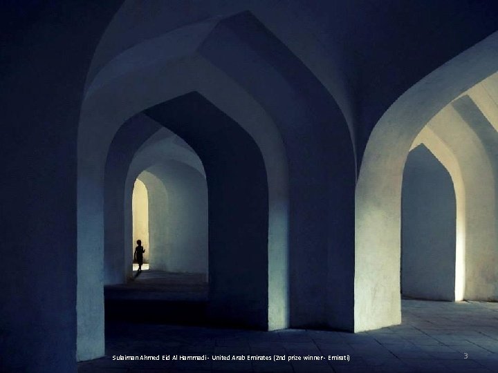Sulaiman Ahmed Eid Al Hammadi - United Arab Emirates (2 nd prize winner -