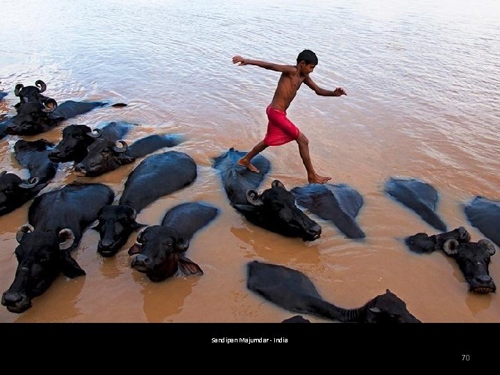 Sandipan Majumdar - India 70 