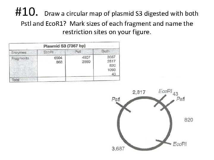 #10. Draw a circular map of plasmid S 3 digested with both Pstl and