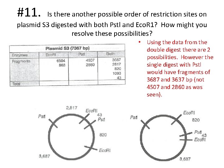 #11. Is there another possible order of restriction sites on plasmid S 3 digested