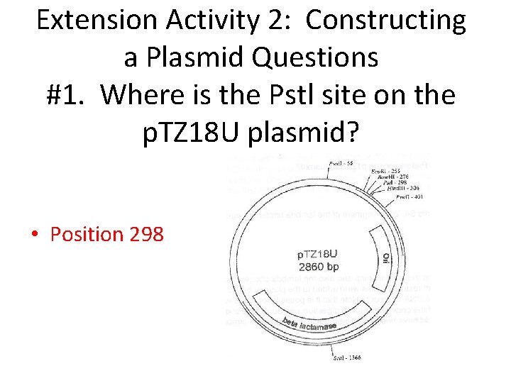 Extension Activity 2: Constructing a Plasmid Questions #1. Where is the Pstl site on