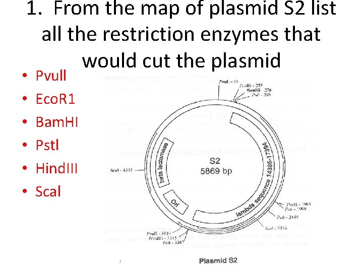 1. From the map of plasmid S 2 list all the restriction enzymes that