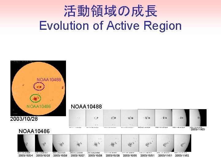 活動領域の成長 Evolution of Active Region NOAA 10488 NOAA 10486 2003/10/28 2003/11/03 NOAA 10486 2003/10/24