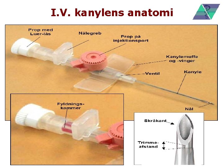 I. V. kanylens anatomi 