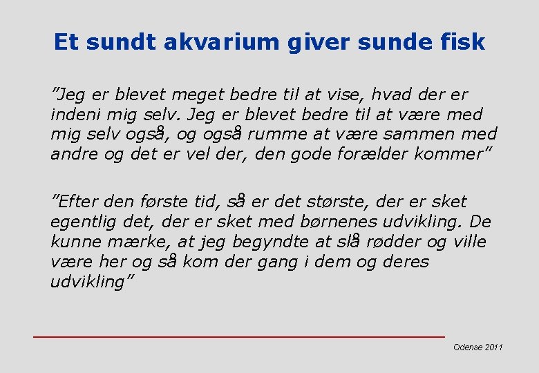 Et sundt akvarium giver sunde fisk ”Jeg er blevet meget bedre til at vise,