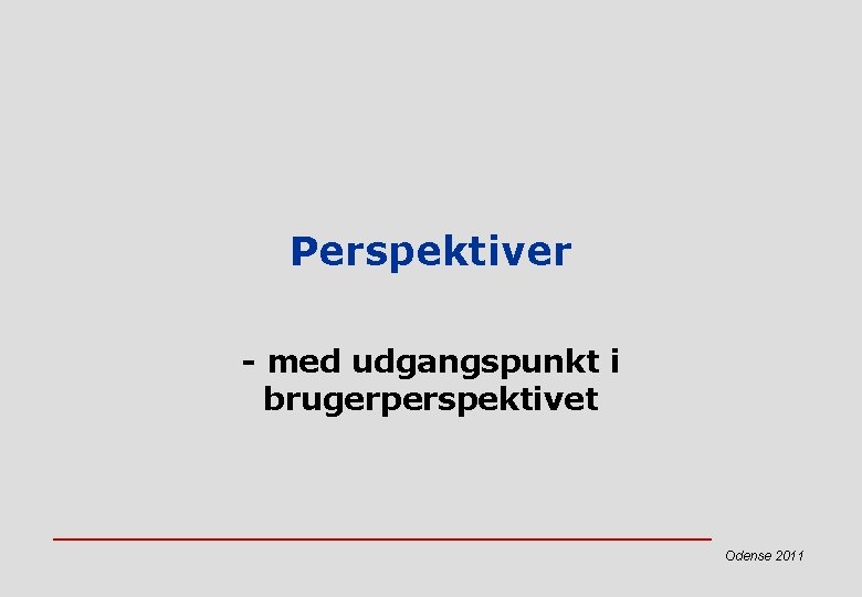 Perspektiver - med udgangspunkt i brugerperspektivet Odense 2011 