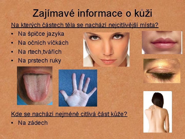 Zajímavé informace o kůži Na kterých částech těla se nachází nejcitlivější místa? • Na