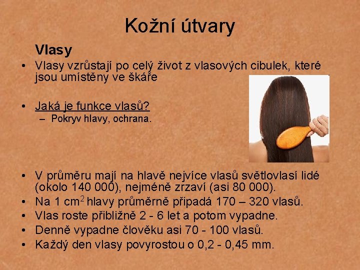 Kožní útvary Vlasy • Vlasy vzrůstají po celý život z vlasových cibulek, které jsou