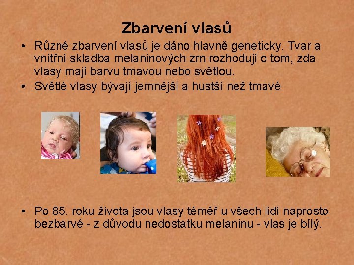Zbarvení vlasů • Různé zbarvení vlasů je dáno hlavně geneticky. Tvar a vnitřní skladba