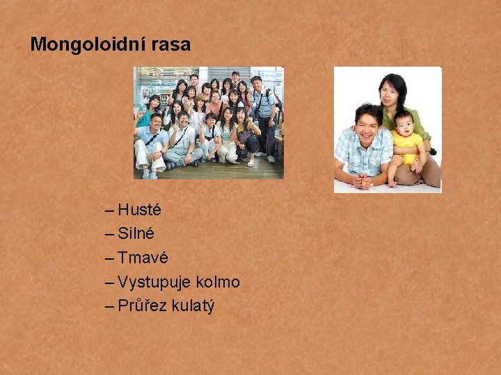 Mongoloidní rasa – Husté – Silné – Tmavé – Vystupuje kolmo – Průřez kulatý