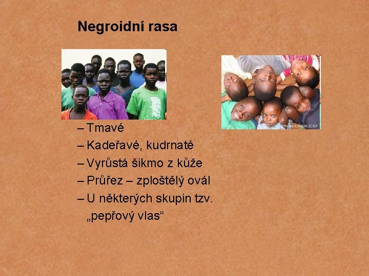 Negroidní rasa – Tmavé – Kadeřavé, kudrnaté – Vyrůstá šikmo z kůže – Průřez
