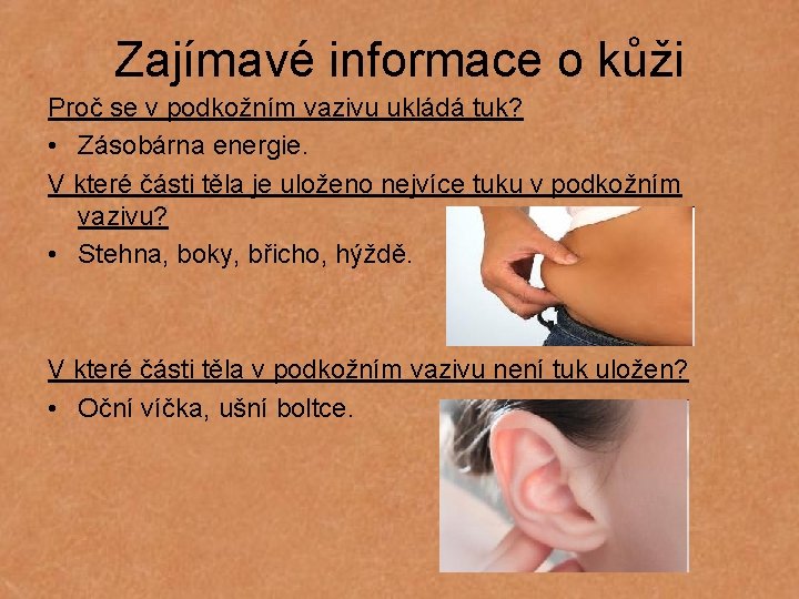 Zajímavé informace o kůži Proč se v podkožním vazivu ukládá tuk? • Zásobárna energie.