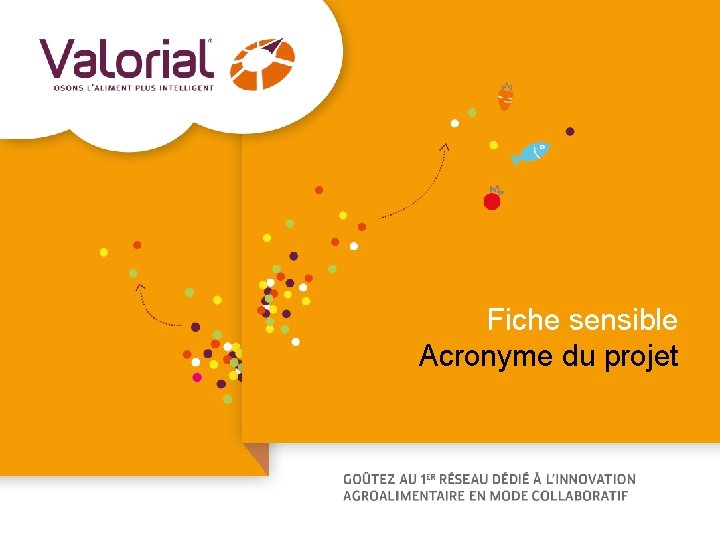 Fiche sensible Acronyme du projet 