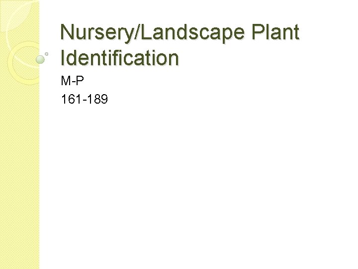 Nursery/Landscape Plant Identification M-P 161 -189 